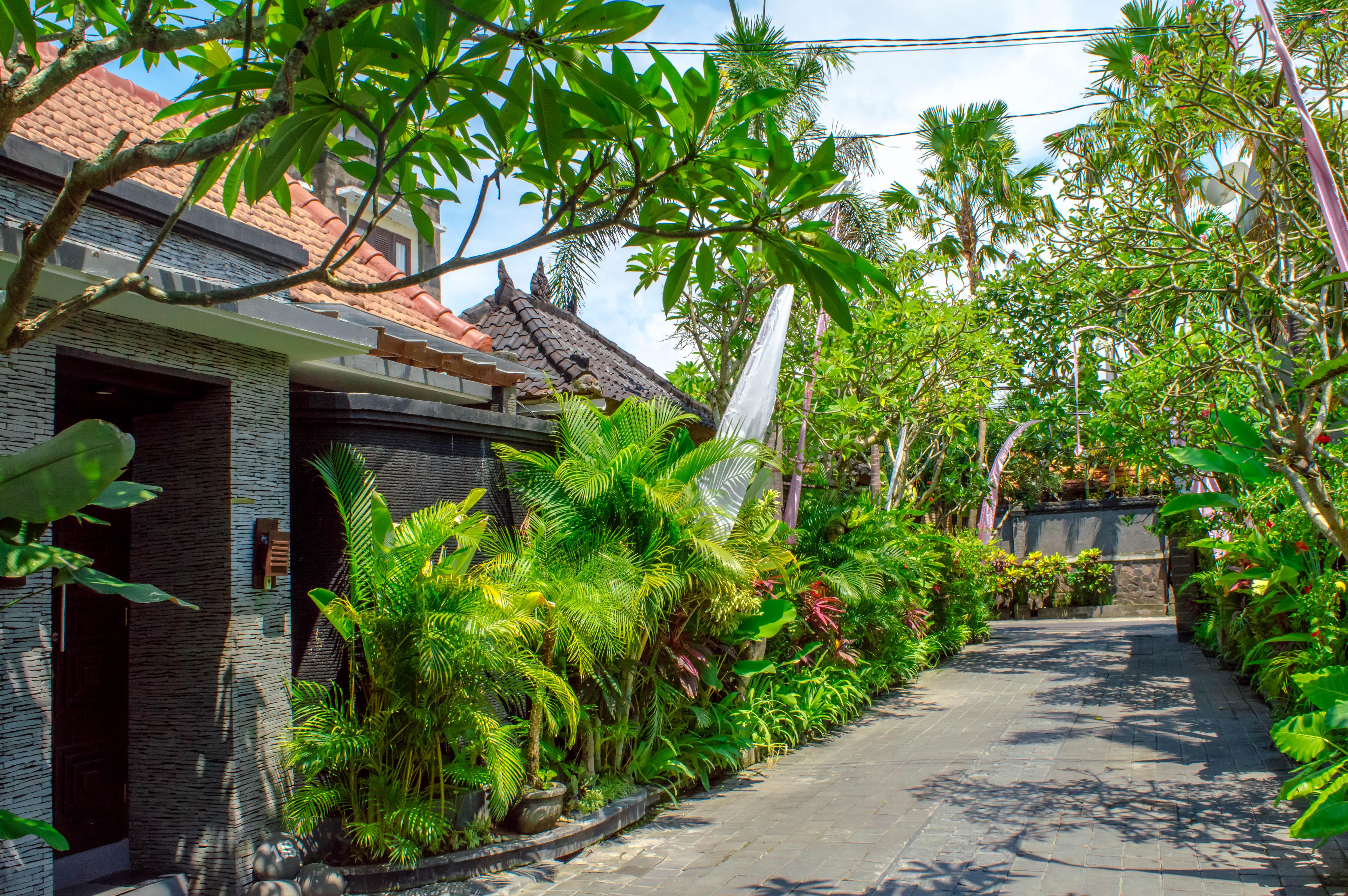 The Bali Dream Villa Seminyak Eksteriør billede